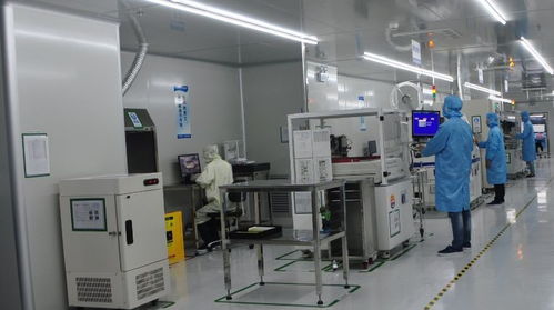 龍崗區(qū)委領(lǐng)導視察安培龍